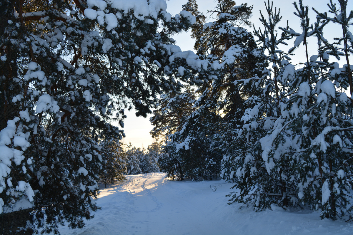 Фото автора