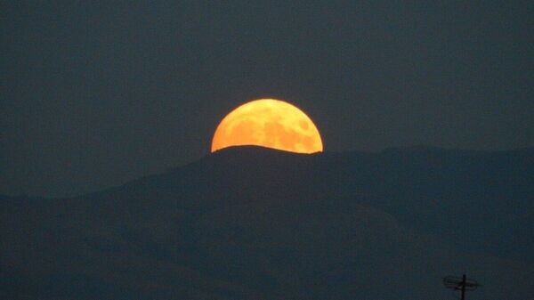    © РИА Новости Крым