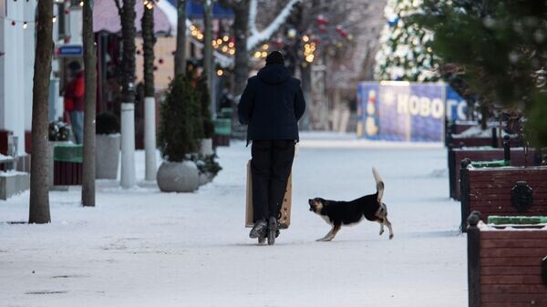    © РИА Новости Крым . Дмитрий Макеев