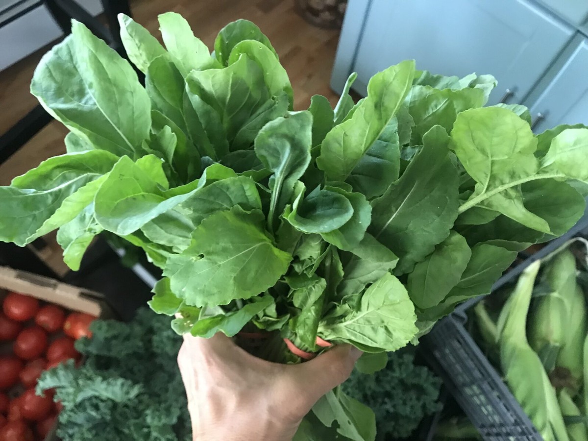 Фото HeartBeet Farms