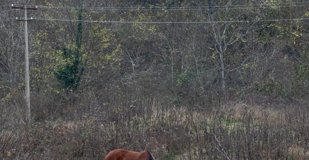 Дети, которые светятся