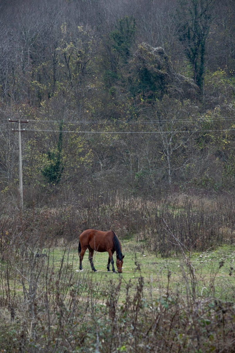 Фото: Александр Панов.