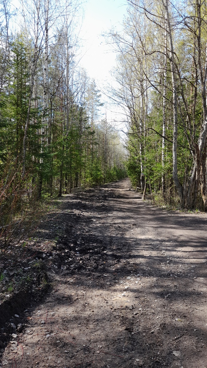 Дорога на Малиновую гору