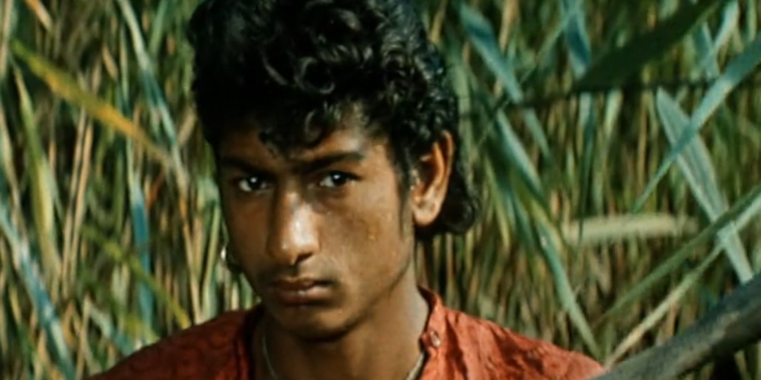 Жизнь Яшки-цыгана: от табора до семейных драм и славы