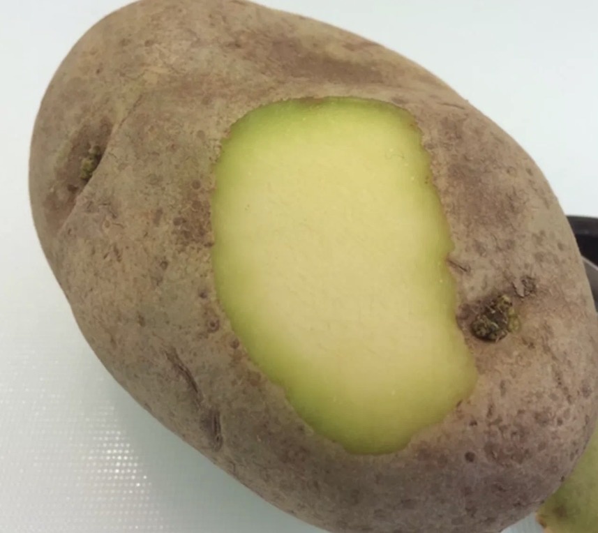 Яндекс фото 