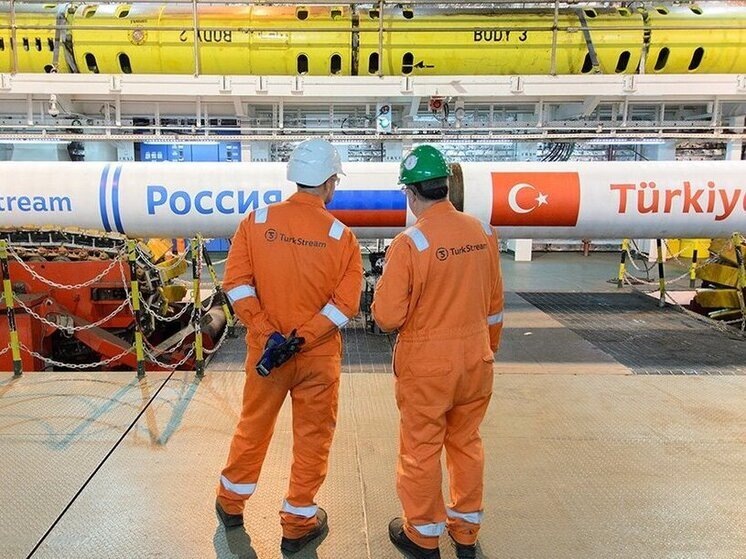     ФОТО: @Ministry of Energy Russia/Twitter.com/Global Look Press