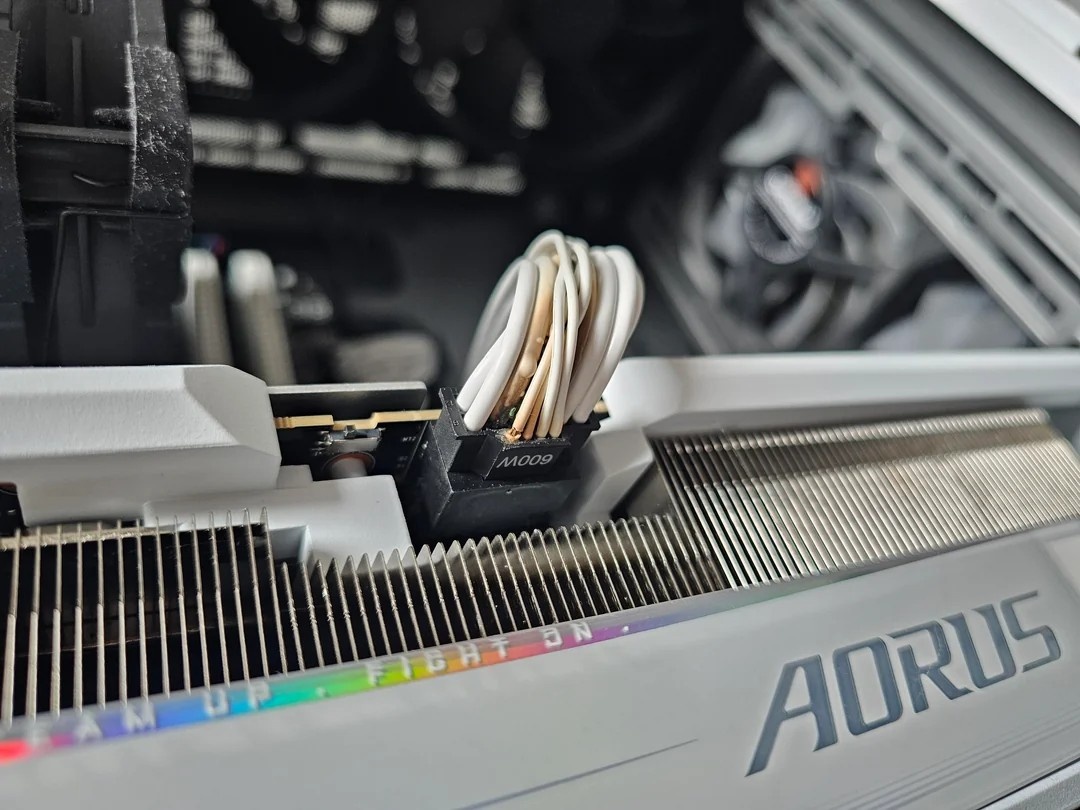 Фото Reddit (Alfredwooden)  📷
