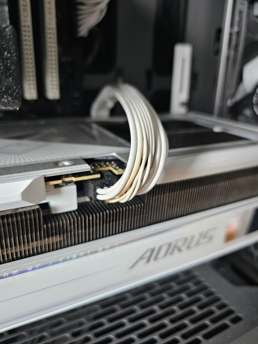 Фото Reddit (Alfredwooden)  📷
