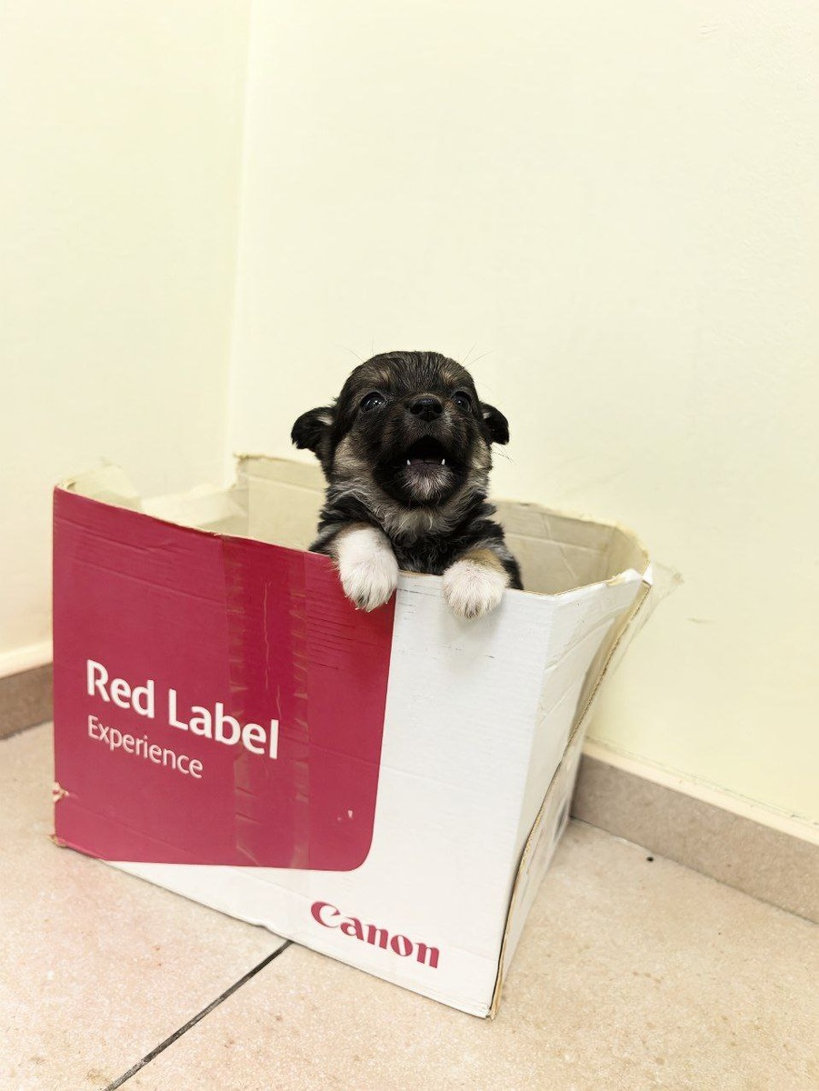 Вот такой новогодний подарок в банке. Фото из архива автора