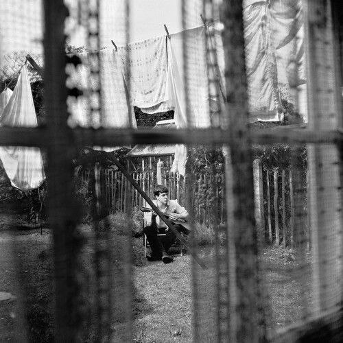 Paul McCartney - Chaos and Creation in The Backyard