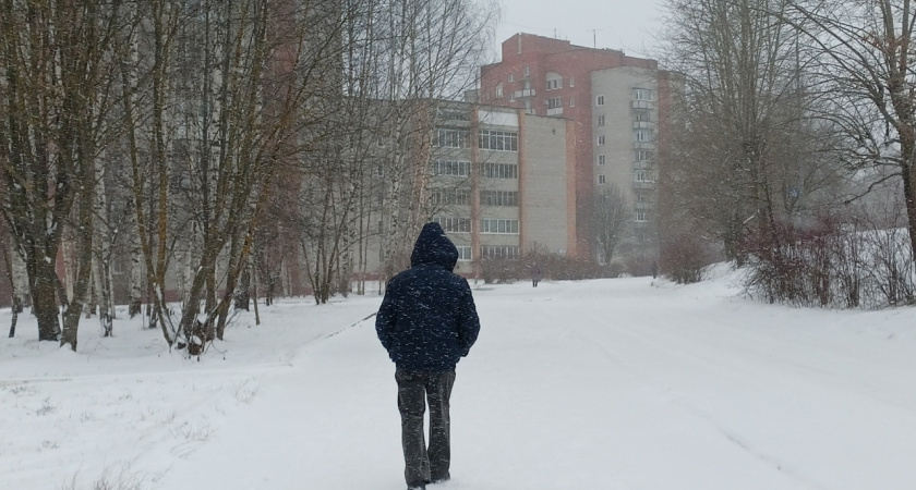    Фото: progorod43.ru