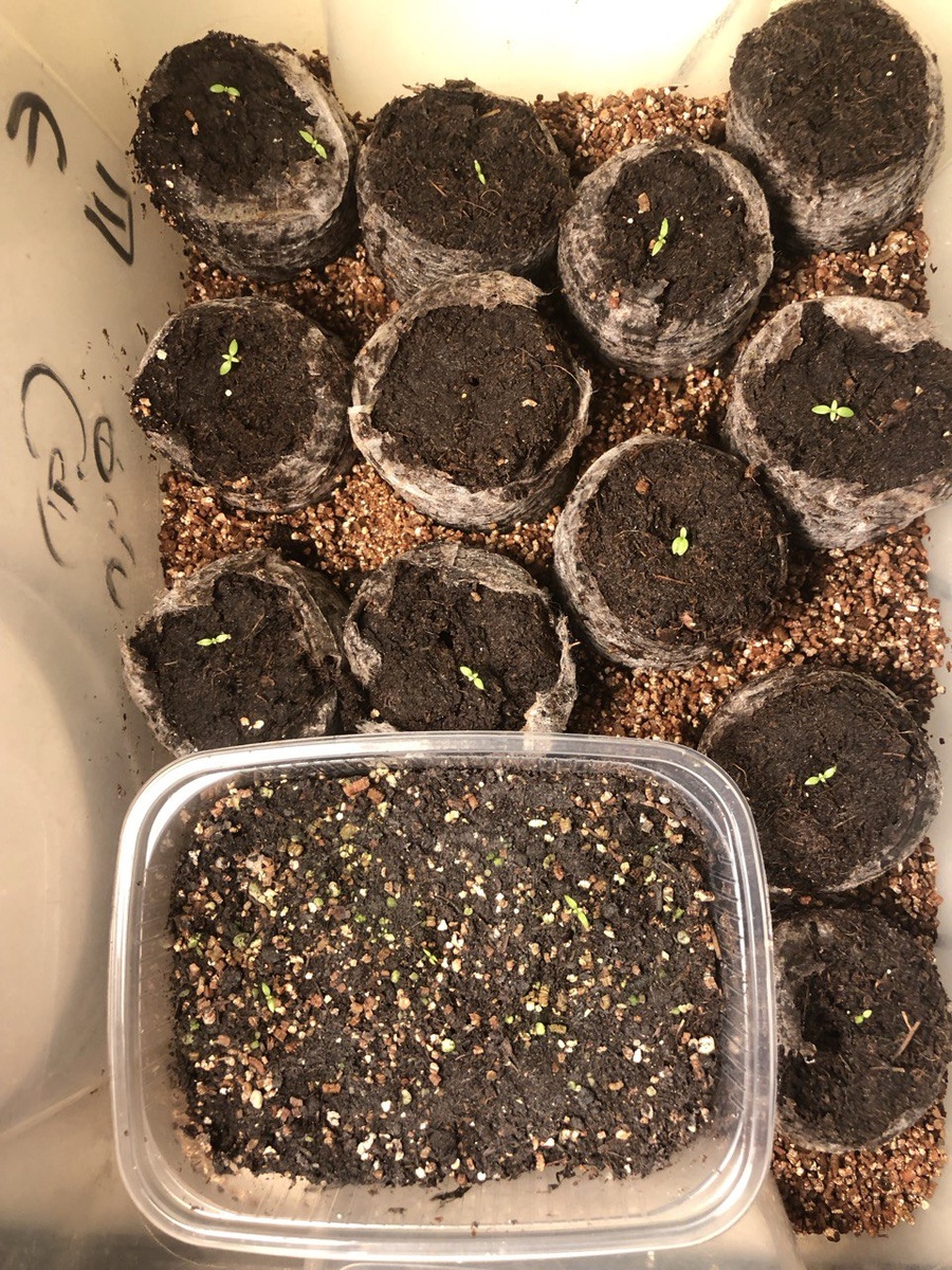 24 декабря 2023г