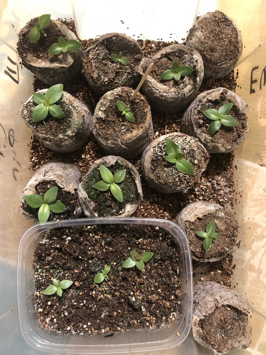 16 января 2023