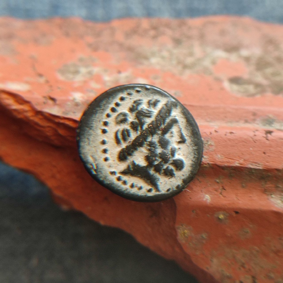 Монета финикии, аверс. Зевс