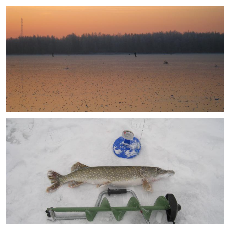 Жерличник – активная профессия.