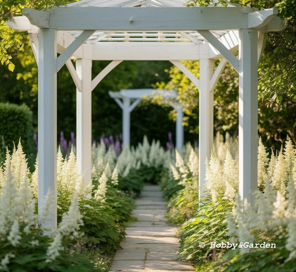 "Русский балет"