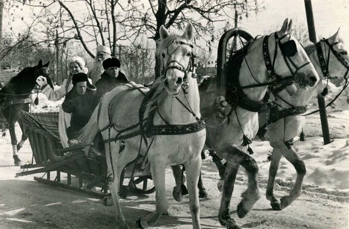 Фото из открытых источников