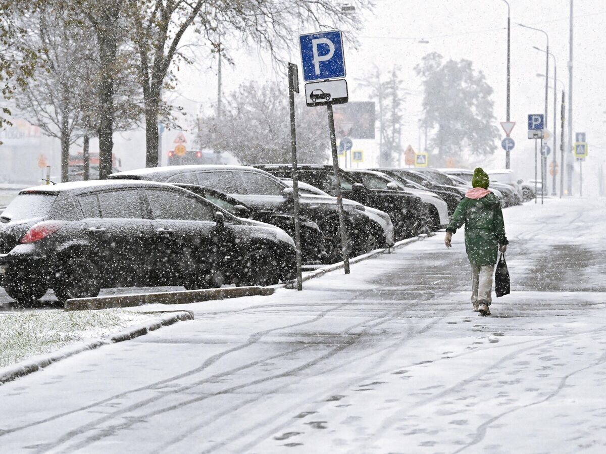    Женщина во время снегопада на Ленинском проспекте в Москве | © РИА Новости / Владимир Федоренко