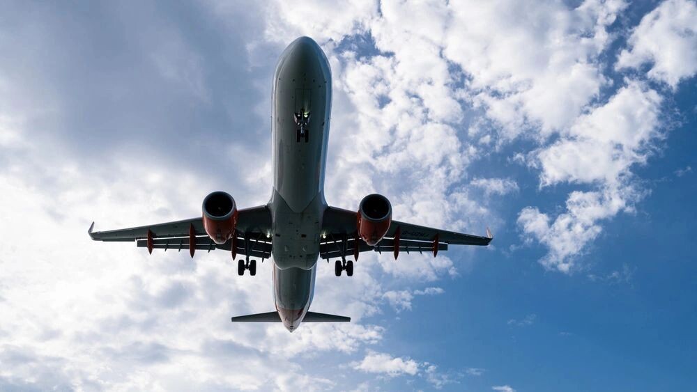    Фото: Wild_Seager/Shutterstock/Fotodom