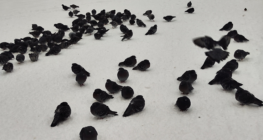    Фото из архива редакции