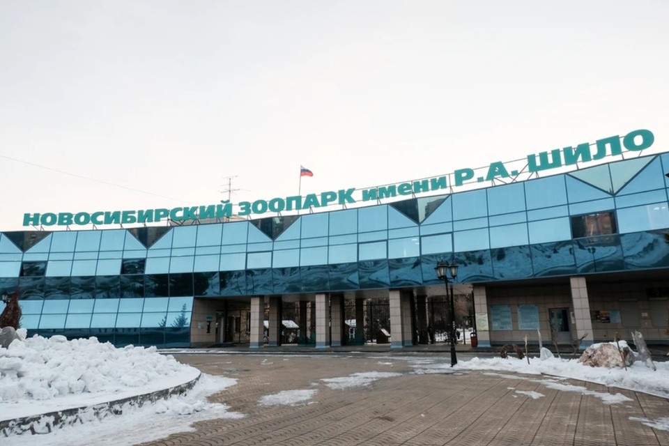    Новосибирский зоопарк повысил цену билета. Даба ДАБАЕВ