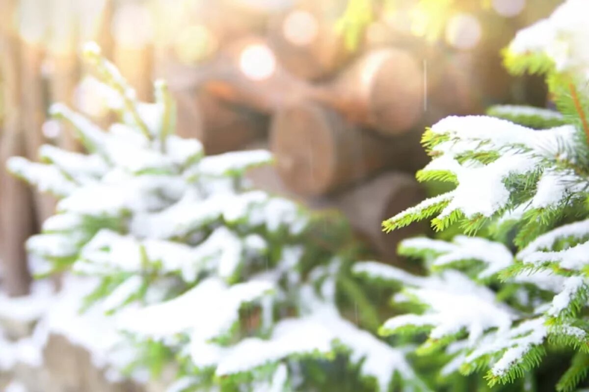    Без осадков: какая погода будет в Хабаровском крае 2 января 2026