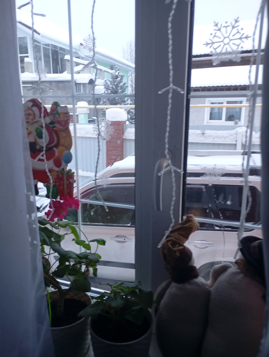 А на окошке герань как весной распустилась