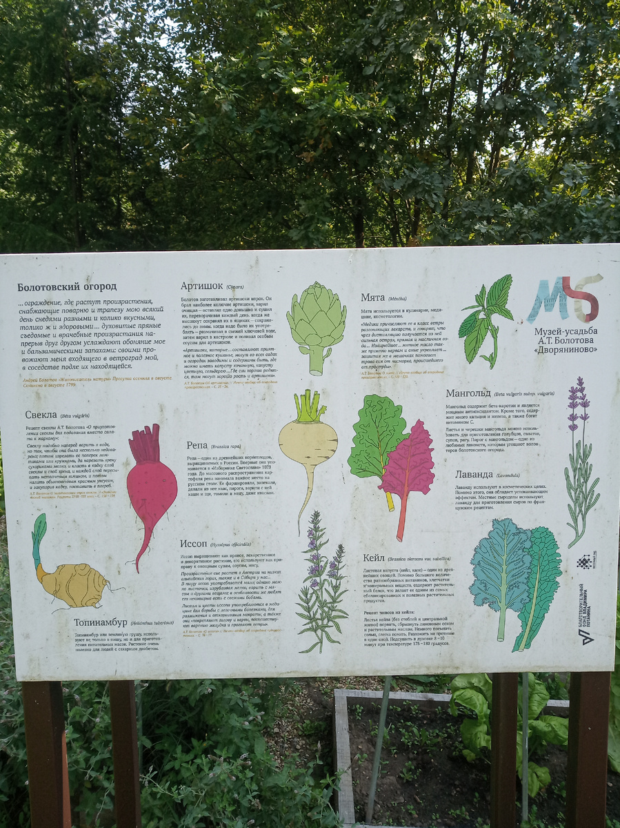 Болотовский огород (фото автора)