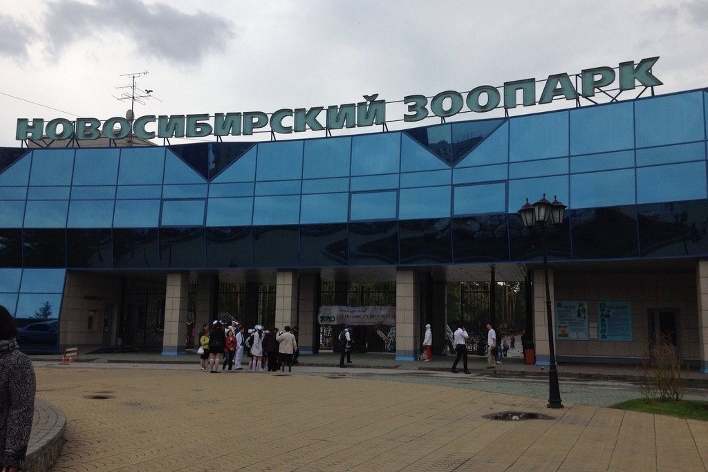    Фото: Новосибирский зоопарк