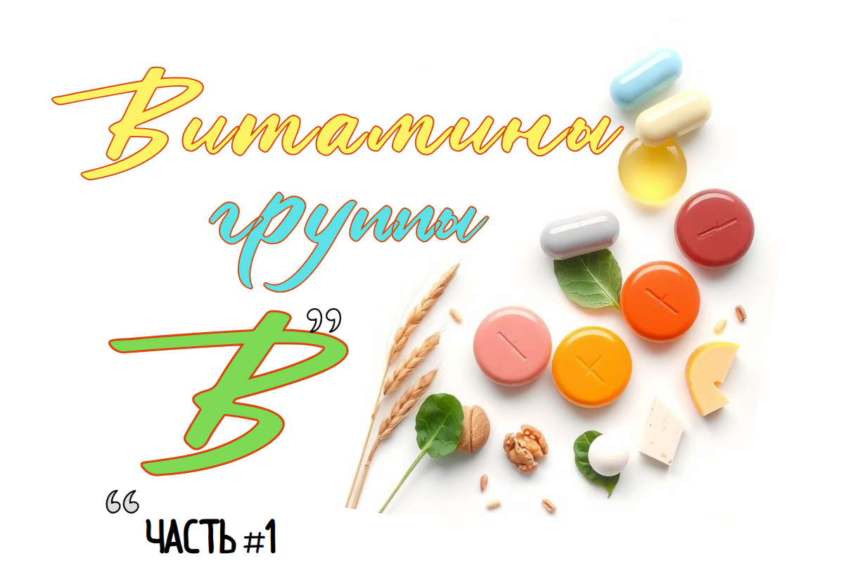 Разберёмся за 5 минут, чтобы больше не путаться в баночках.