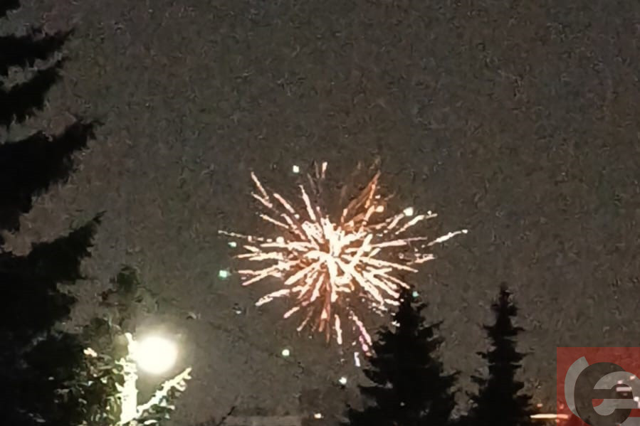    Фото: Прецедент