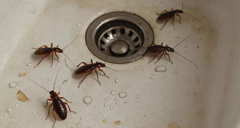    Сгенерировано ИИ