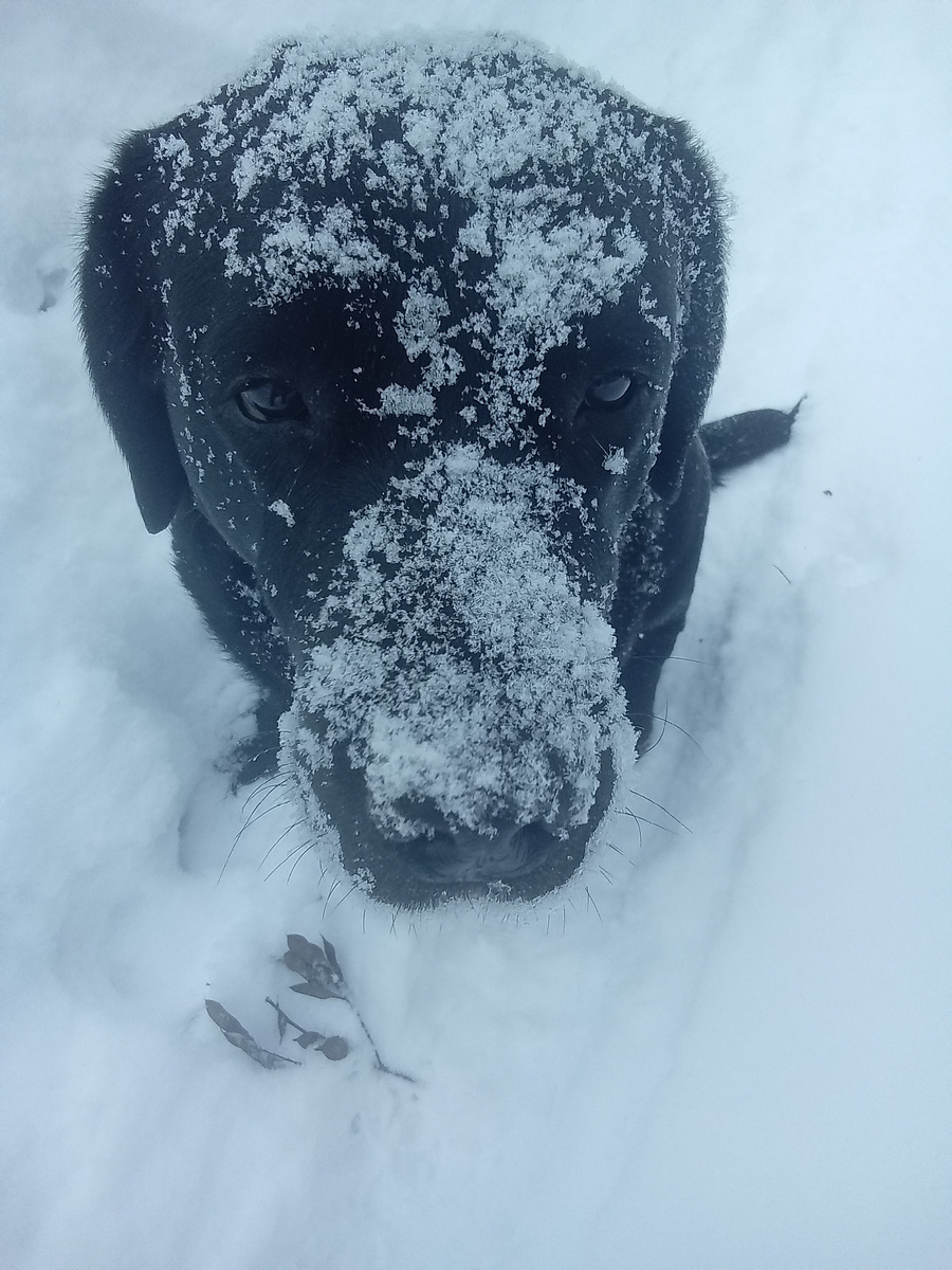 Фото автора. 