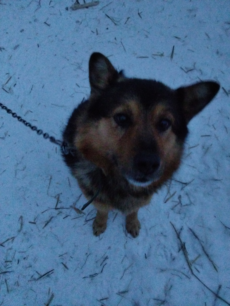 Фото автора. 