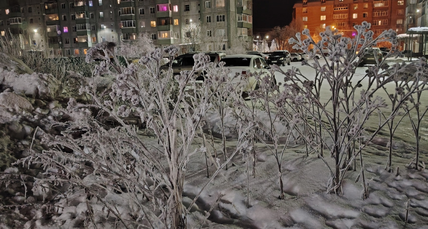    Фото редакции