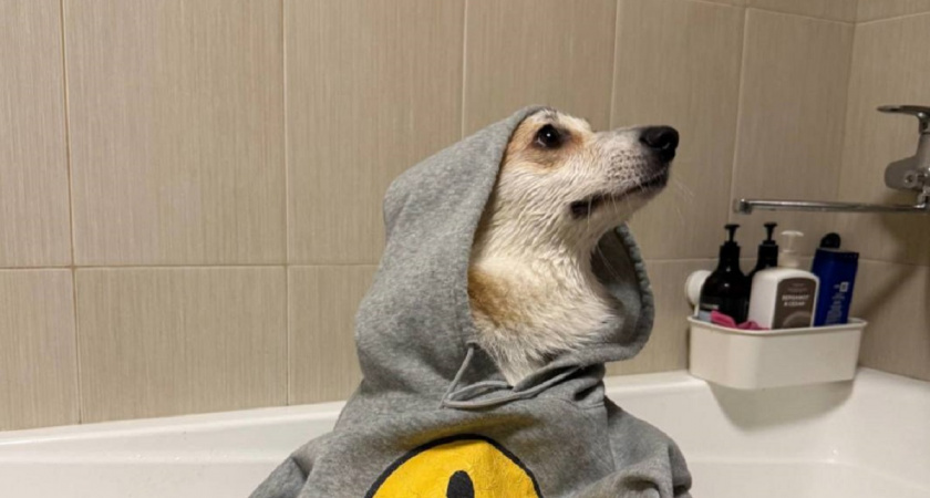    Фото Анастасии Дмитриевой