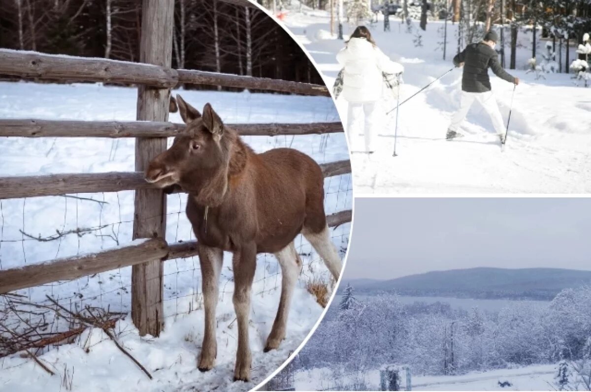    Красота и величие.
