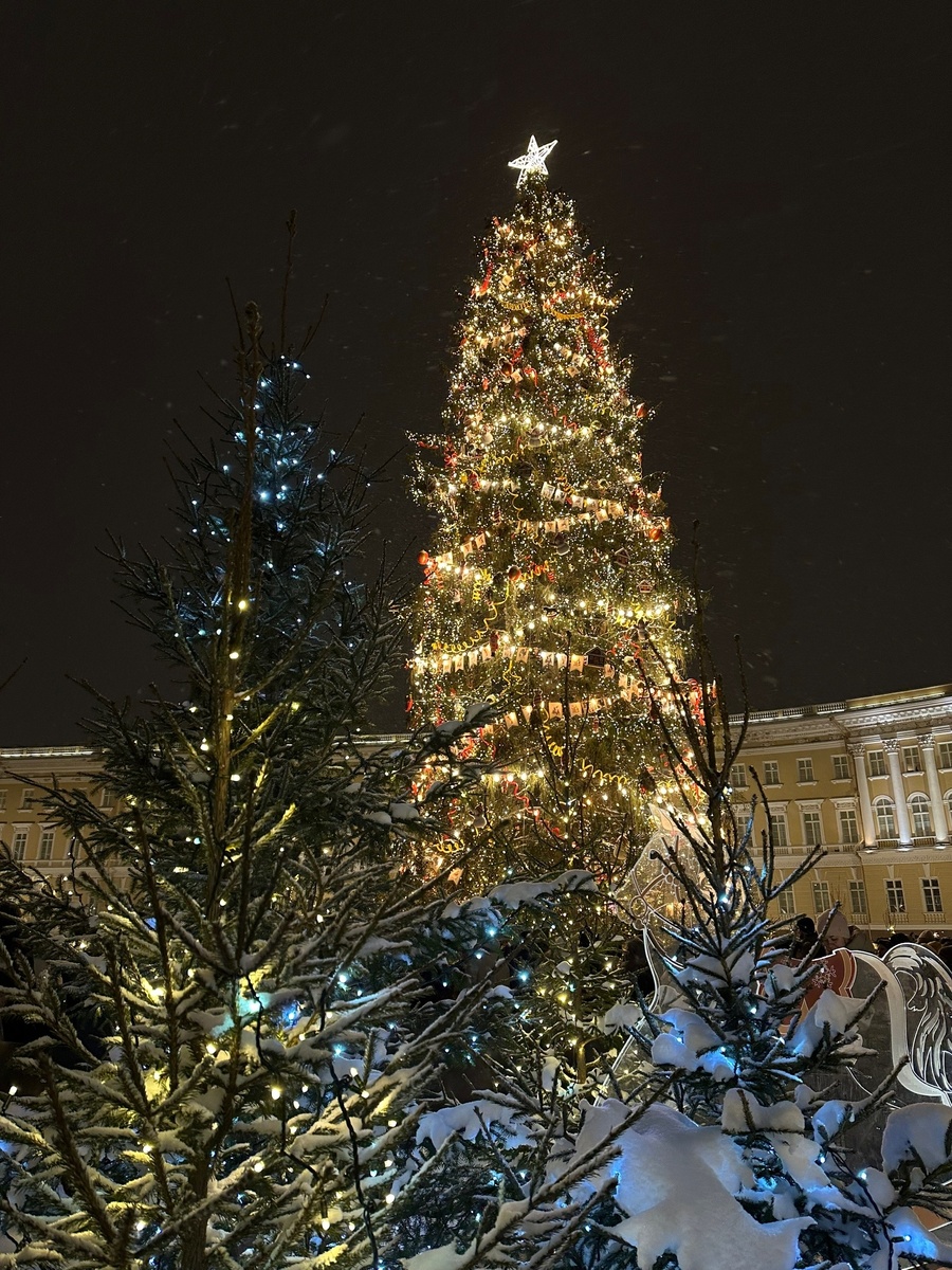 Ёлка на Дворцовой площади. Фото из личного архива автора