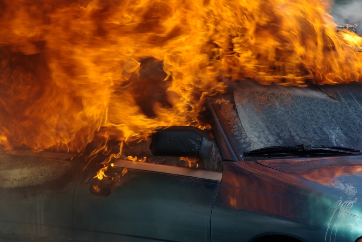     / Источник: (cc) Jason Bolonski