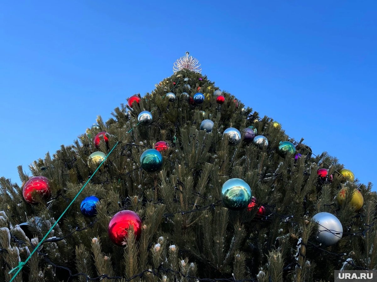     Курганские VIP назвали свои любимые новогодние игрушки