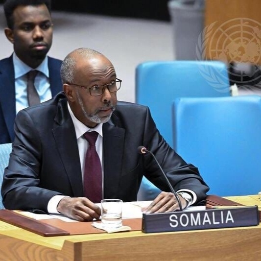 Постпред Сомали в Совбезе ООН Абукар Осман