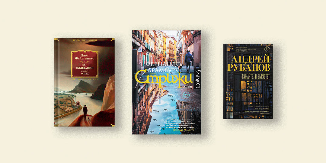 Арамбуру, Гош, Райкин: 5 объёмных книг, чтобы растянуть чтение на все праздники