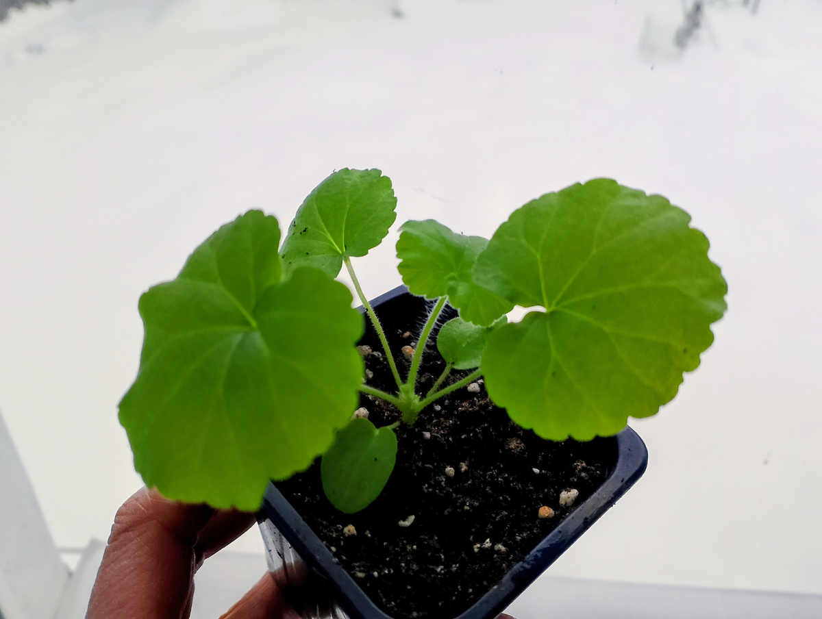 Личное фото автора