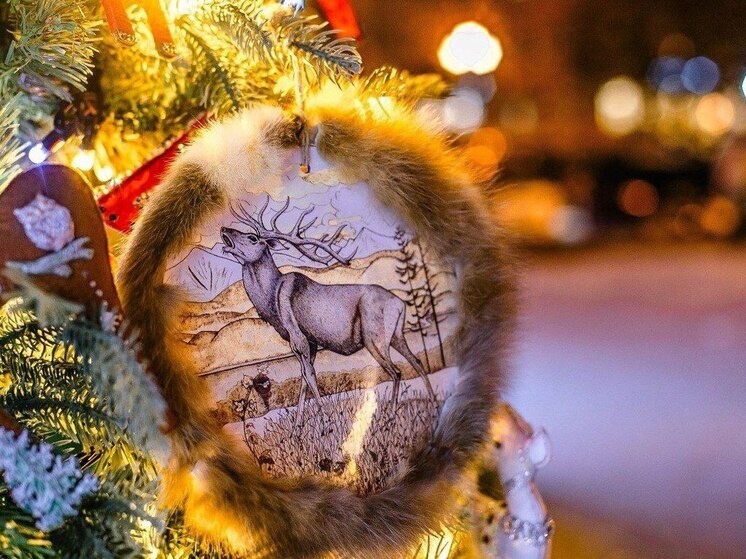     «Новогодние забавы» в хабаровском парке Гагарина посетит Дед Мороз / Ольга Григорьева