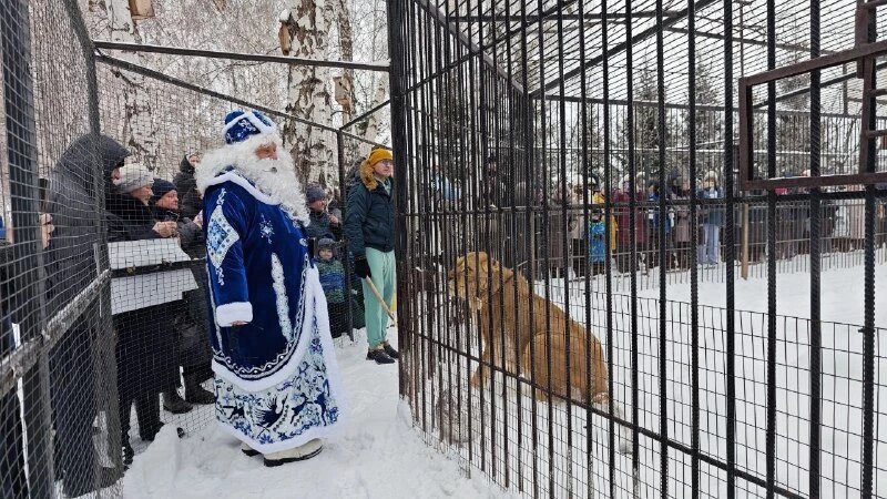     За 1 января 2026 года 495 человек посетили Барнаульский зоопарк. Барнаульский зоопарк