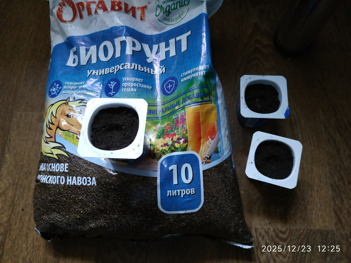 Для проведения эксперимента приготовил грунт и 3 рассадные ёмкости для проращивания всходов.