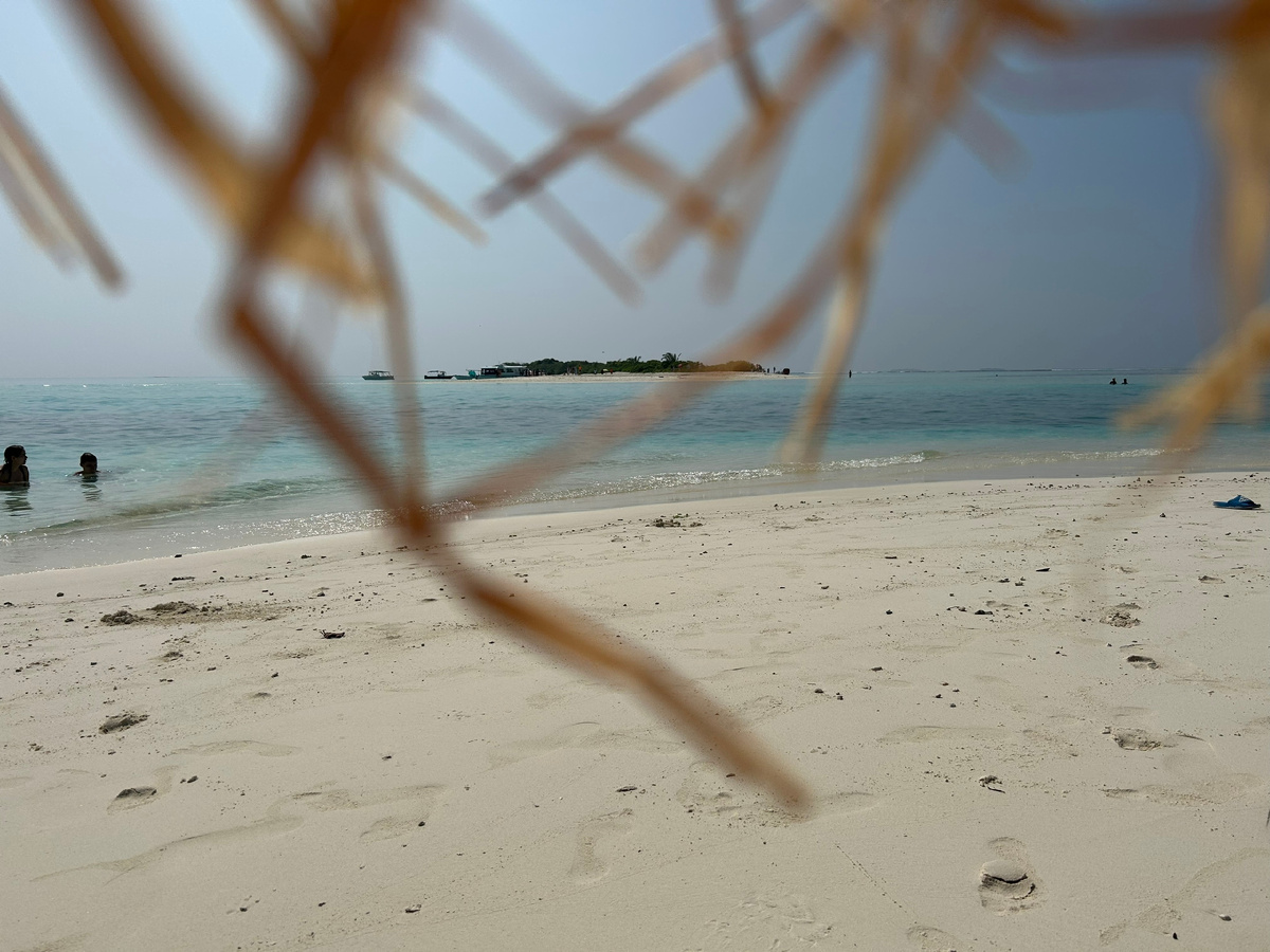 ...сквозь шляпу