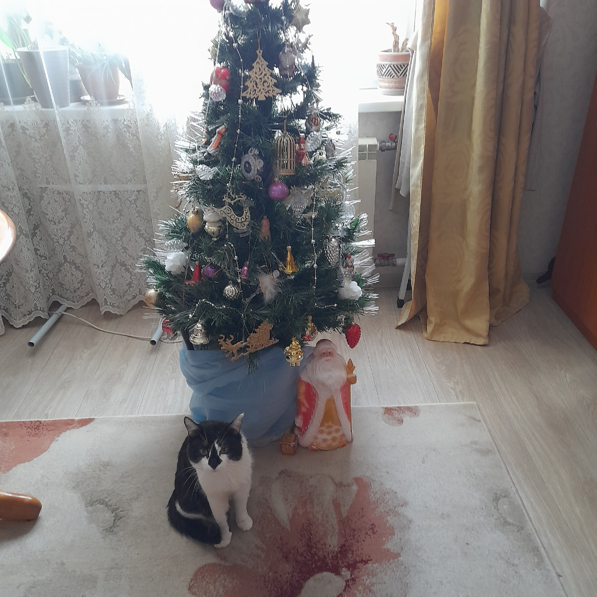 Фото автора. Наконец, попался Митя возле ёлочки, но уже 2го января