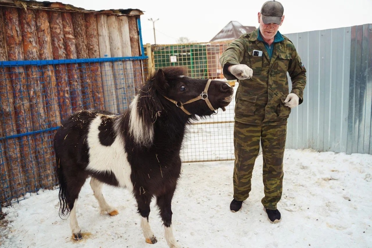 Когда то жизнь Мэри была омрачена серьёзными проблемами со здоровьем, а наш приют стал её последним шансом.