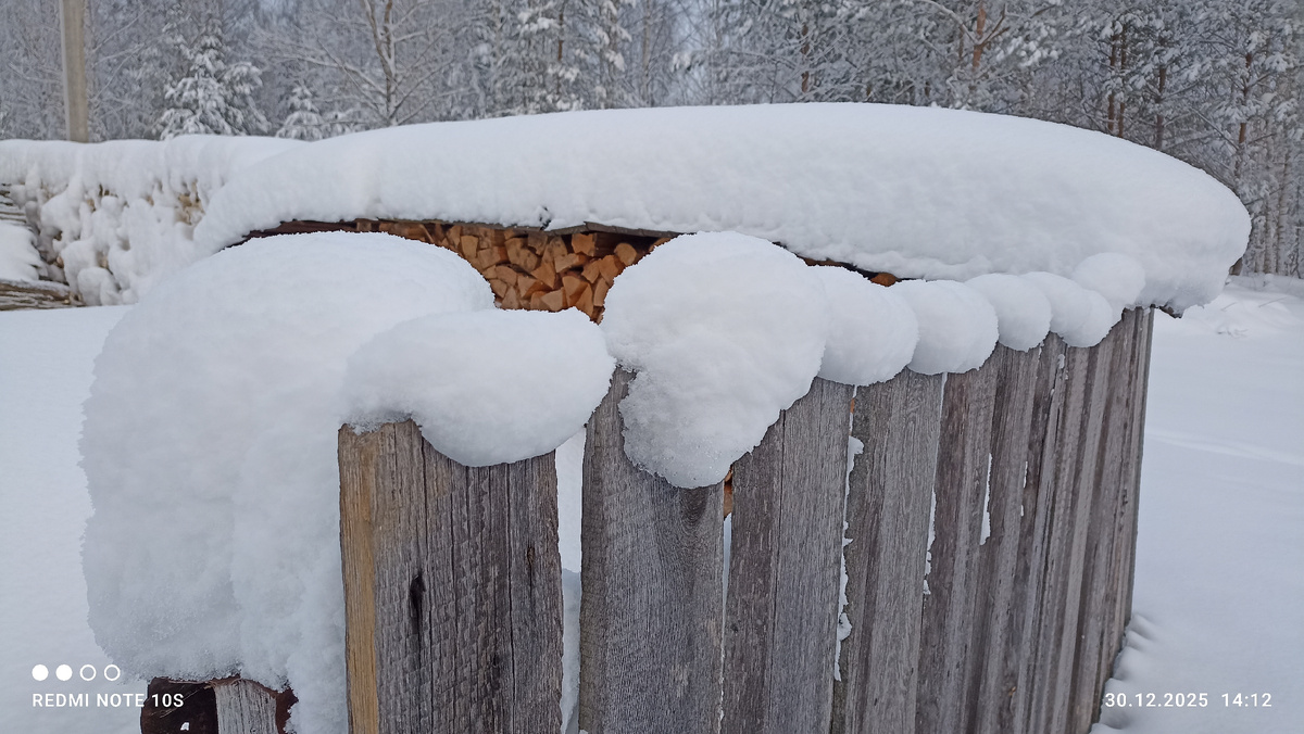 Старый забор преобразился. Стоит в белоснежном наряде. Фото автора.